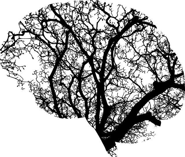 Serotonin Synthesis and Reuptake in Social Anxiety Disorder A Positron Emission Tomography Study