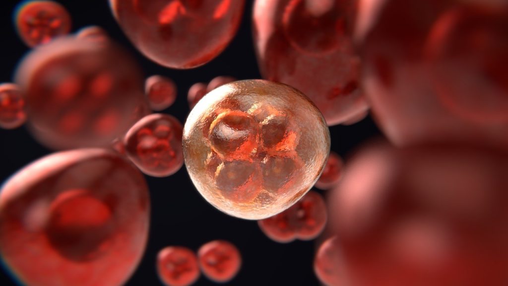 Enhancement of Docetaxel Anticancer Activity by a Novel Diindolylmethane Compound in Human Non–Small Cell Lung Cancer