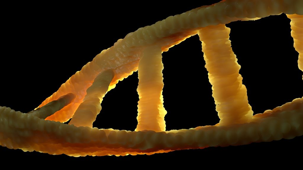 Effect of Trimethylglycine On Reproduction and DNA